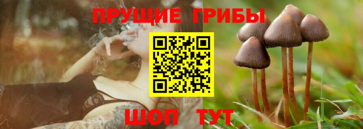 Краснодар  Псилоцибиновые грибы прущие грибы  Вход с VPN  Галлюциногенные грибы мухоморы 